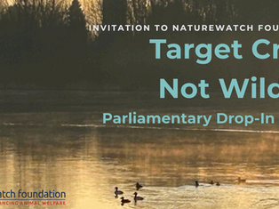 Important call to action on our End Catapult Cruelty Campaign