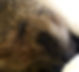 283839910_10221301434631538_3158421417281386888_n.jpg