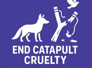 Killing for Fun: What A BBC Documentary Reveals About Catapult Crime