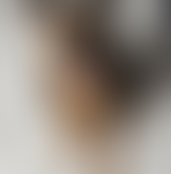 Responsible Pet Ownership: Keeping your Dog Safe