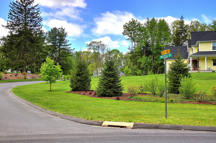 Deer Meadows feature photo - to replace