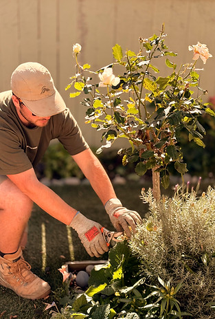 Trimming plants for a maintenance job