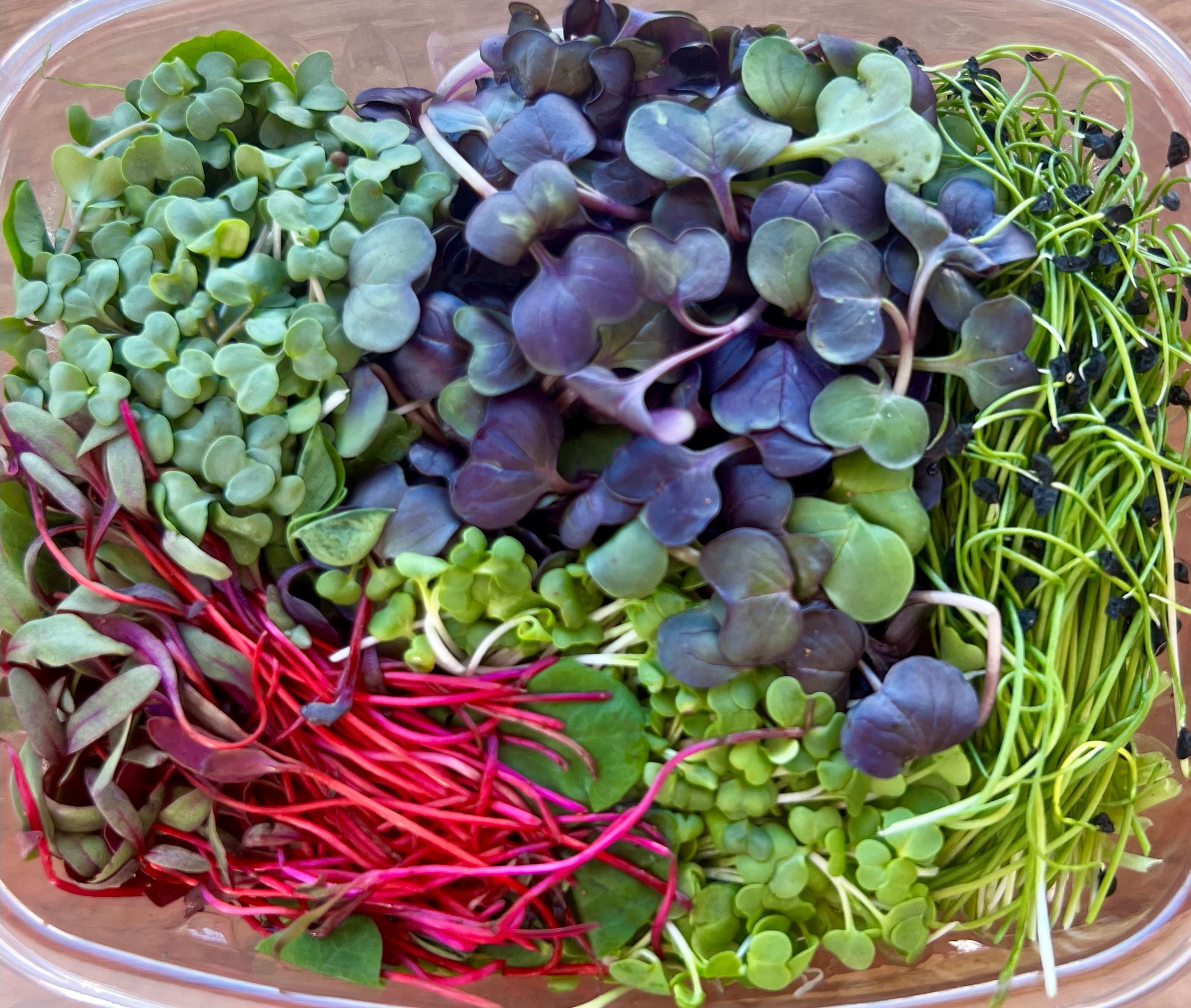 Weekly Microgreens Delivery