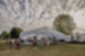 CARPA FRUTILLAR.JPEG