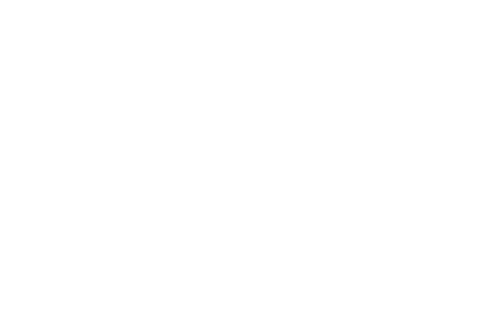 Consultancy-icon_white.gif