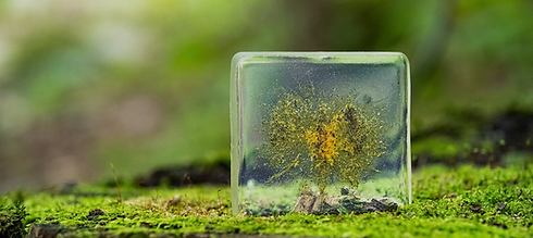 Screenshot 2023-08-15 at 11.41.58 AM.png