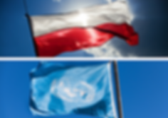 Untitled design (3).png