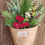 Thumbnail: Seasonal Bouquet Subscription