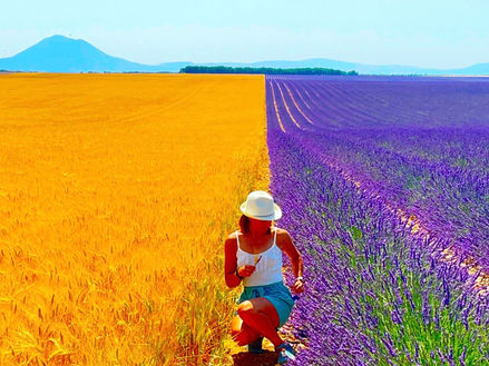 Campo di Lavanda e Grano, Provenza, foto di Alessia Biscia @valigiainfarinata
