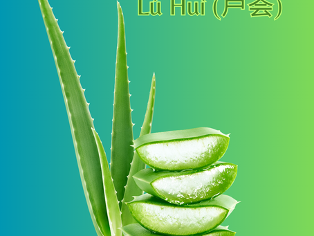 Aloe Vera: A Soothing Superplant for Your Gut and Beyond