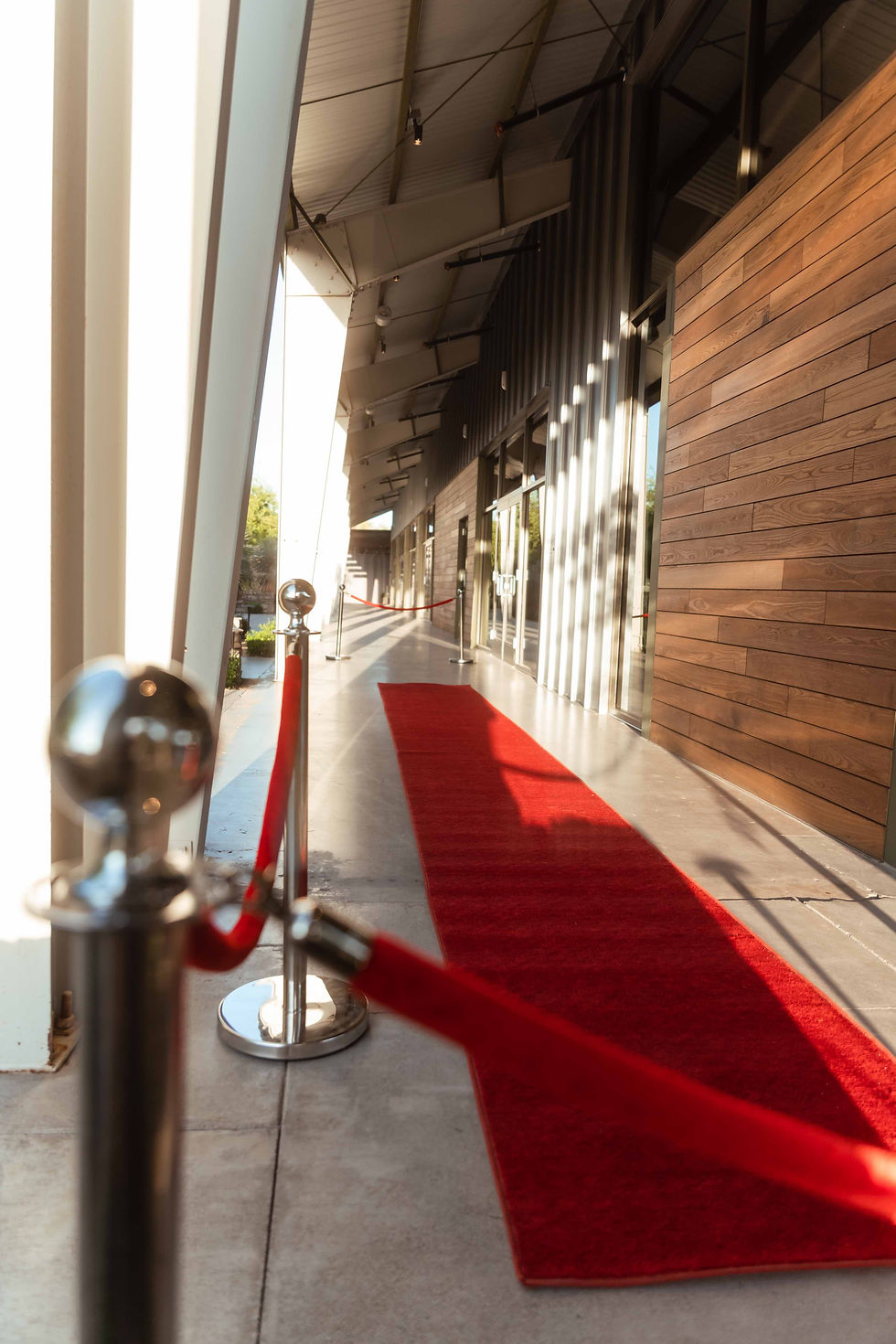 Red Carpet Prom