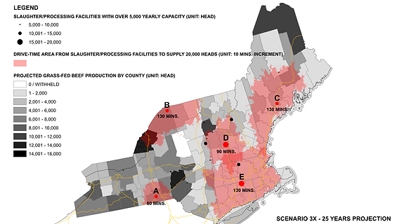 Northeast Beefscape_Board 1