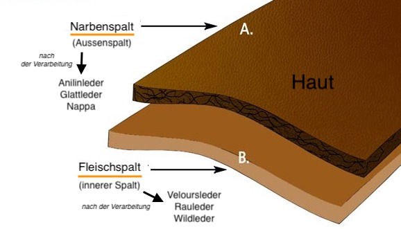 Das Leder wird gespalten. Oben ist dann das Narbenspalt und unten das Fleischspalt. Außerhalb der Gerberei gilt nur das Fleischspalt als "Spaltleder"