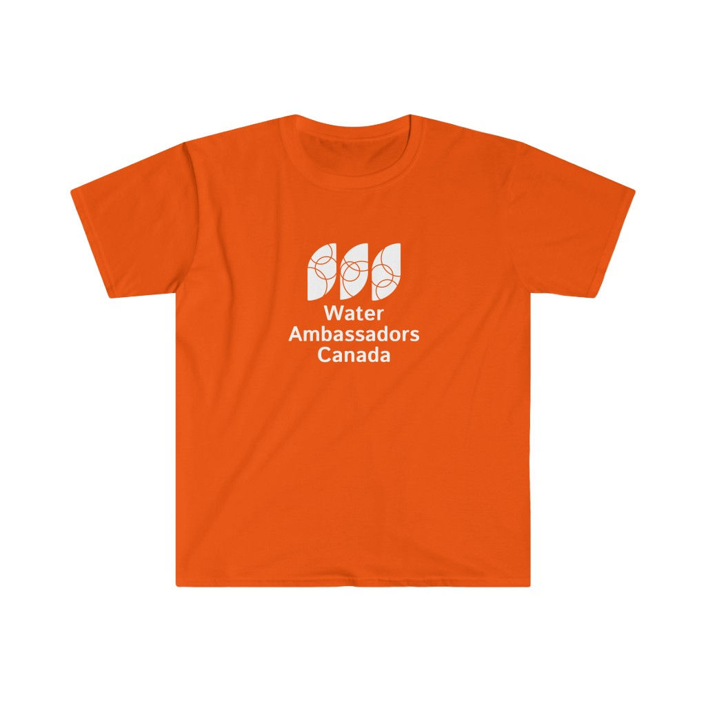 Fall Water Walk Unisex Softstyle T-Shirt