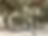 25090139-5AE6-49CC-8E6F-4AC76CEFD665.heic