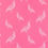 Thumbnail: FANCY PIGEON | PALE PINK ON PUNCH