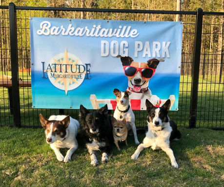 Latitude Margaritaville Hilton Head Amenities (18).jpg