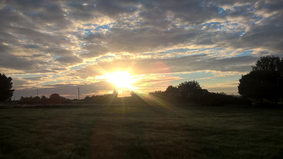 An image of the field used, taken in early August 2017.