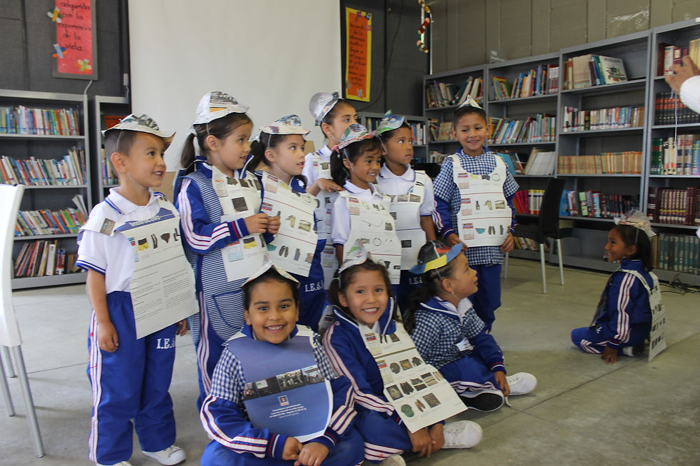 Visita biblioteca