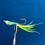 Thumbnail: Swizzle Minnow 