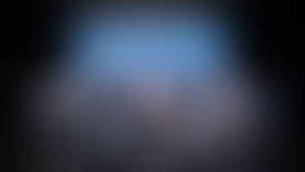 Tres agrupaciones animalistas de Aconcagua recibieron financiamiento de la Subdere