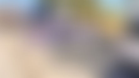 Comenzó el proceso de renovación de permisos de circulación en la comuna de Panquehue