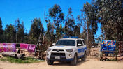 PDI Valparaíso detuvo a hombre por maltrato animal y faenamiento clandestino en Placilla