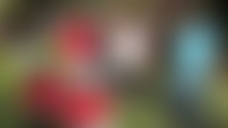 Calle Larga es la primera comuna del país en contar con un Observatorio Municipal que registra diariamente la actividad solar