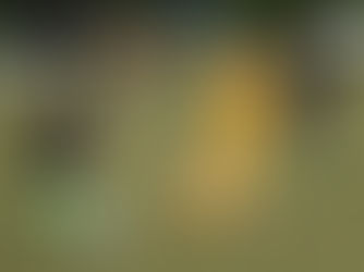 Erste verliert an der Ardelhütte klar. Reserveteams sammeln Punkte