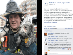 saved dog