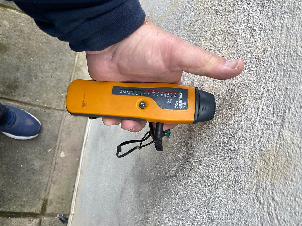 protimeter moisture meter