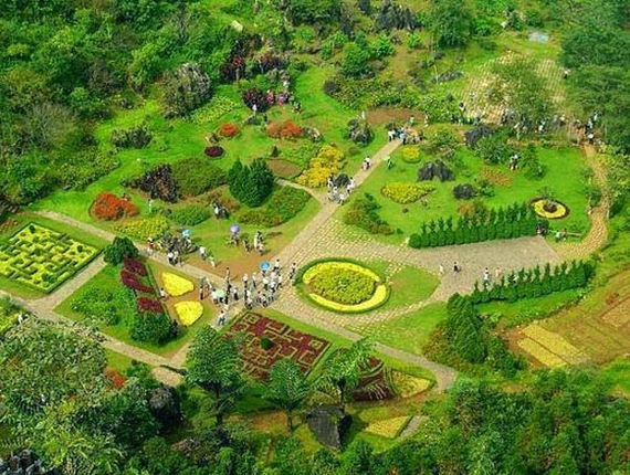 vuon-hoa-ham-rong-sapa(1).jpg