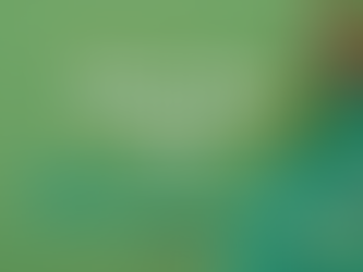 ¿Dieta cetogénica nutricional o Dieta low carb ? Las claves para elegir la más adecuada para ti 