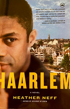 haarlem_edited.jpg