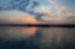 Qeshm Mangrove Forest
