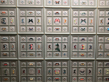 La Magione di Mostufi al-Mamālek - Tehran