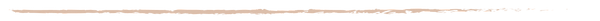 Tan Divider Line .png