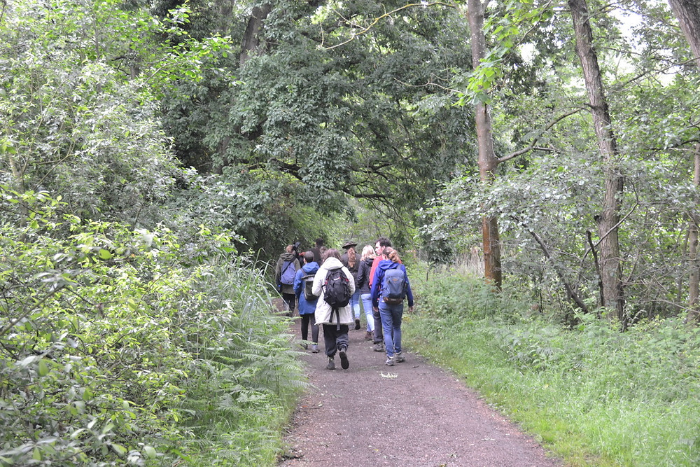 Strumpshaw Fen (RSPB)
