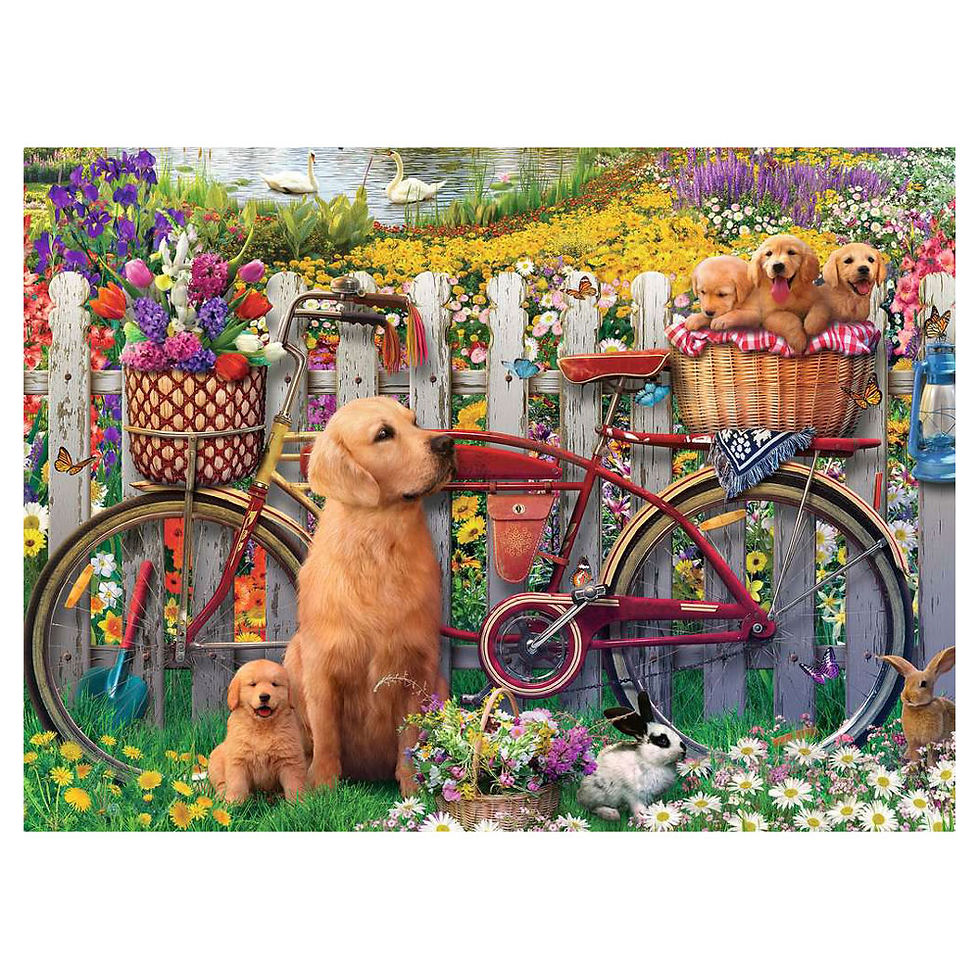 Golden retrievers by bicycle with flowers