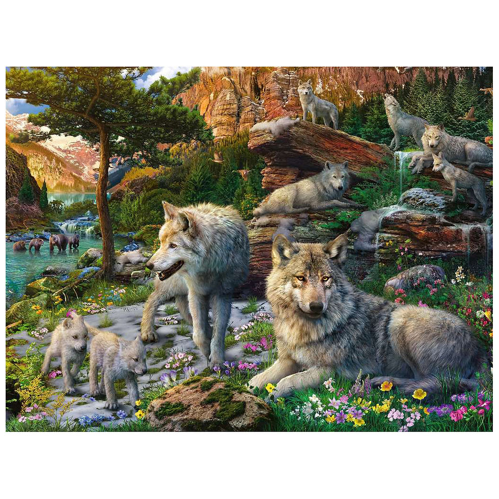 Wolf pack in mountain landscape