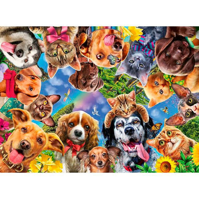 Joyful dogs and cats collage