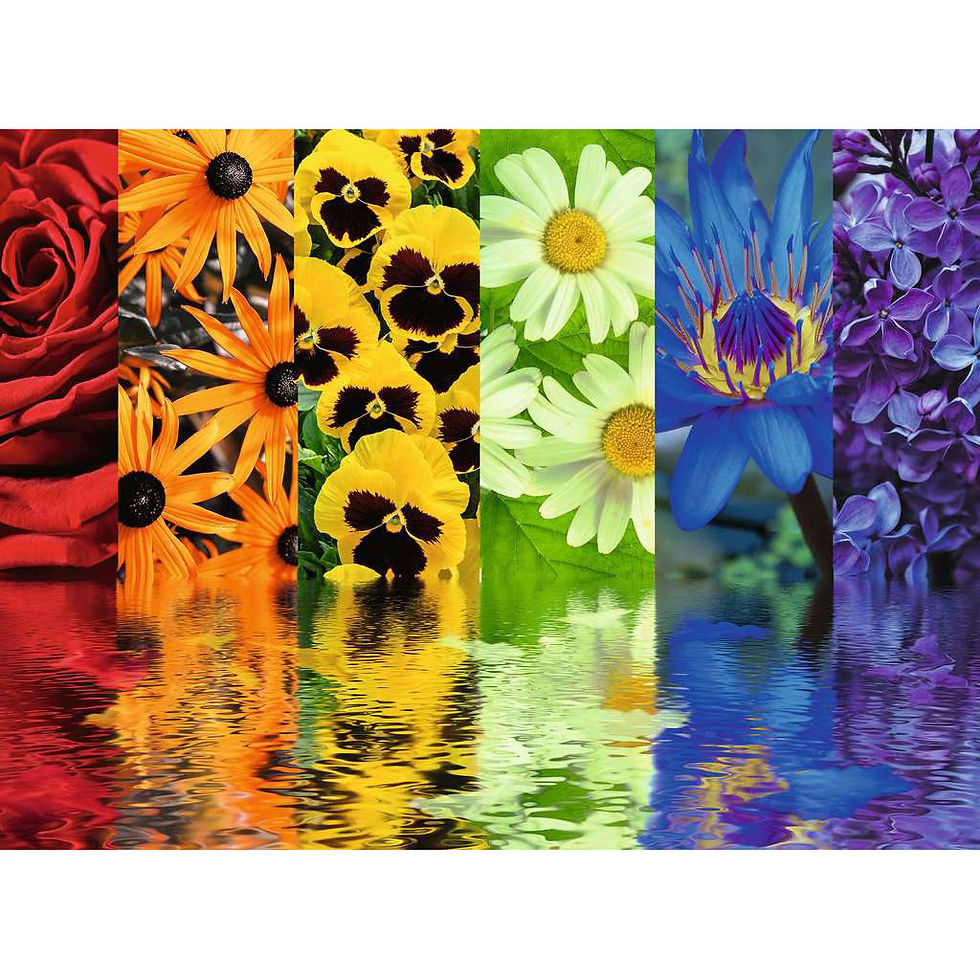 Rainbow of flowers reflected in water