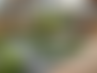 Professionelle Gartenneugestaltung in Hamburg: So gelingt der perfekte Garten