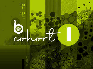 HiveBio Cohort 1 is Defying the Odds — $1.7M Raised and Counting