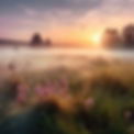 AdobeStock_619267744.jpeg
