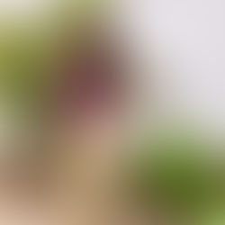 ¿Somos lo que decidimos vestir?: nuestra ropa podría reflejar lo que somos o queremos ser