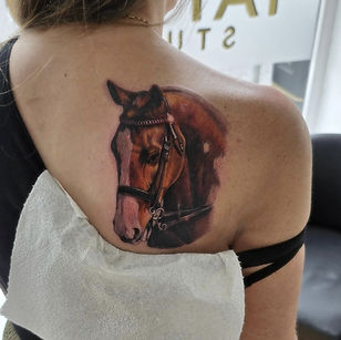 Screenshot_20240710_132350_Instagram (1).jpg