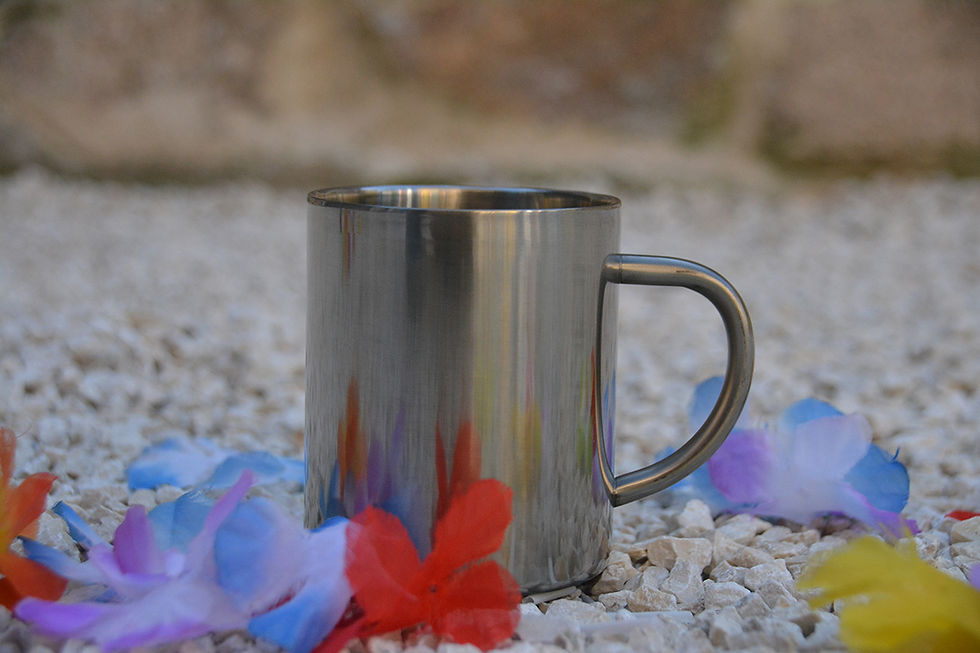 Mug Inox