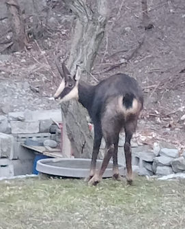 WhatsApp Image 2026-01-02 at 12.13.44.jpeg