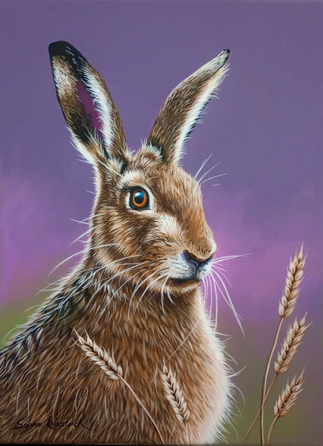 Hare on a purple background by UK Wildlife Artist Sophie Kilpatrick